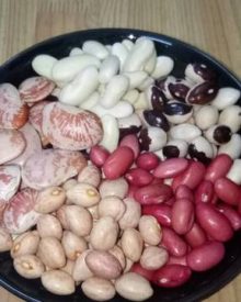 Chè 5 loại đậu